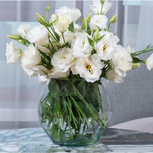 Fleurs toute l'anne